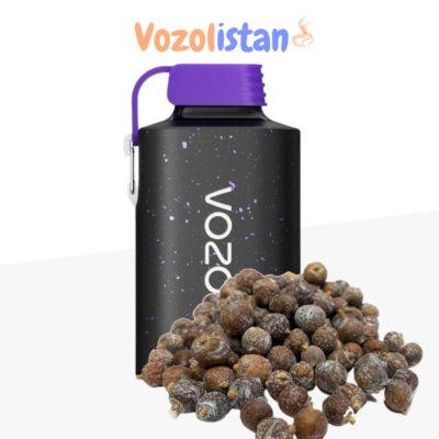 Vozol Gear 10000 Cedar Berries Puff vozolistan.com