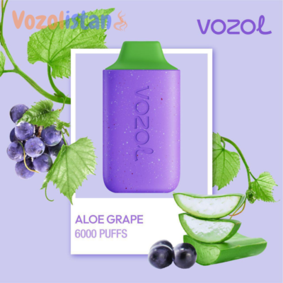 Vozol Star 6000 Aloe Grape Puff vozolistan.com