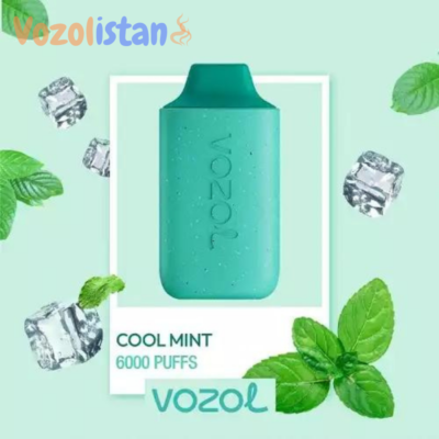 Vozol Star 6000 Cool Mint Puff vozolistan.com