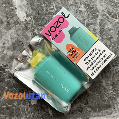 Vozol Star 6000 Cool Mint Puff vozolistan.com
