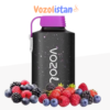 Vozol Gear 10000 Forest Berry Storm Puff vozolistan.com