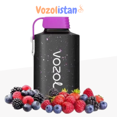 Vozol Gear 10000 Forest Berry Storm Puff vozolistan.com