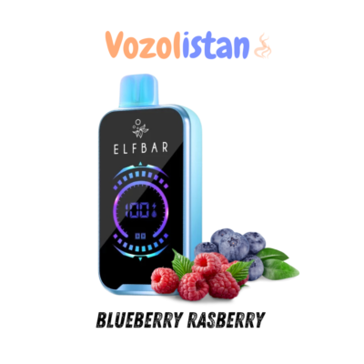 Elf Bar Raya D2 Blueberry Rasberry Puff - vozolistan