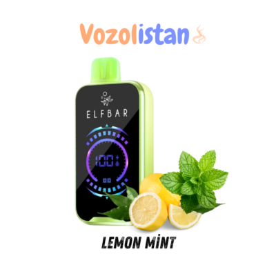 Elf Bar Raya D2 Lemon Mint Puff - vozolistan